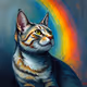 Zora tabby cat