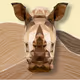 Geometric Rhinoceros