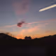 evening