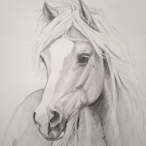 horses