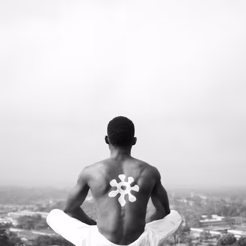 Memoirs of Tall Artist Z
