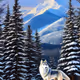 Wolf Dream