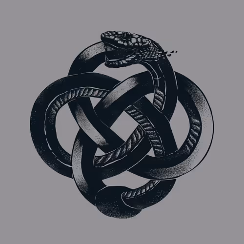 An ouroboros coiled snake or a lizard biting its tail