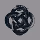 An ouroboros coiled snake or a lizard biting its tail
