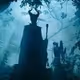 Night forest