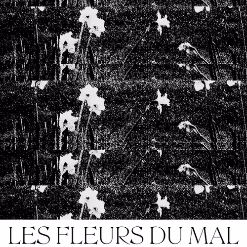 Les Fleurs du Mal