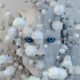 Brain explosion