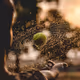 Facets of Existence