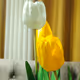 Flower world