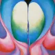 buttflower