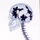 Scull_black_flowers eth 0.0001