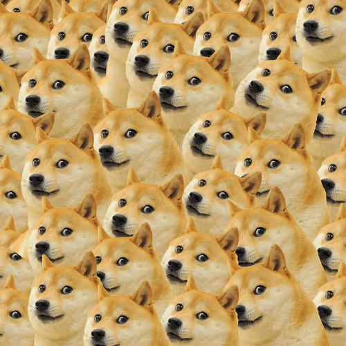 DOG COLLECTION