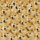 DOG COLLECTION