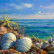 sea and shells