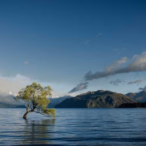 Dave Transactions Honduras