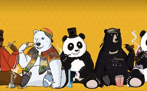 Psychedelic Bears