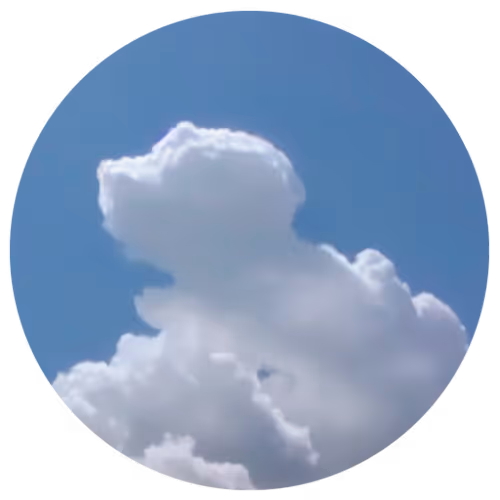 Zora Posts