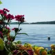 HI sun