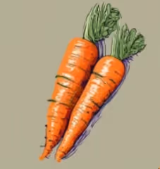 Enjoy Your Carrot!