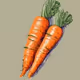 Enjoy Your Carrot!