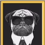 DON DOG