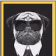 DON DOG