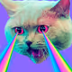 MeowCat