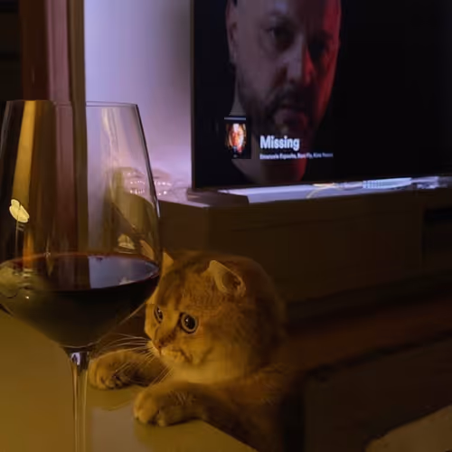 Wine Troubled Cat