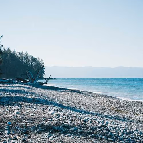 Conference Jokes Pot