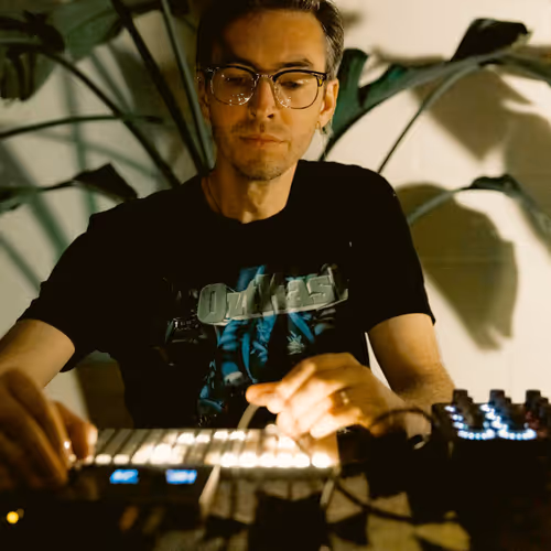 Mycelial Electronics