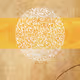 zorb
