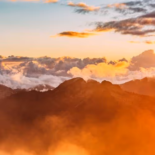 Respective Familiar Arms