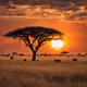 Sunset in Africa