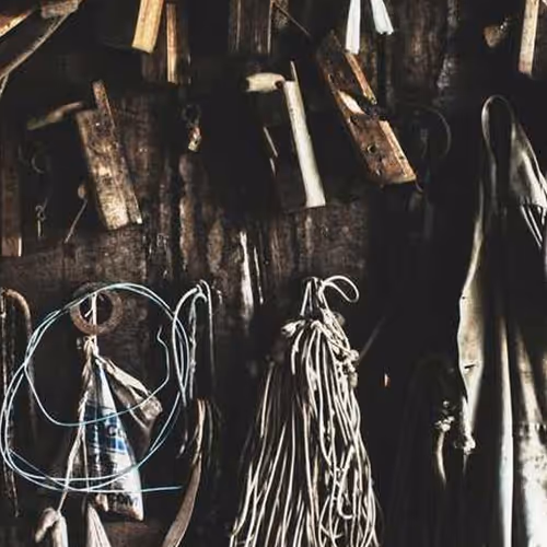 Specials Checked Pennsylvania