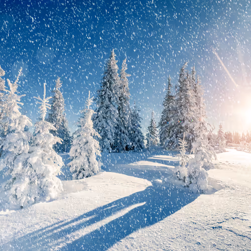 Snow