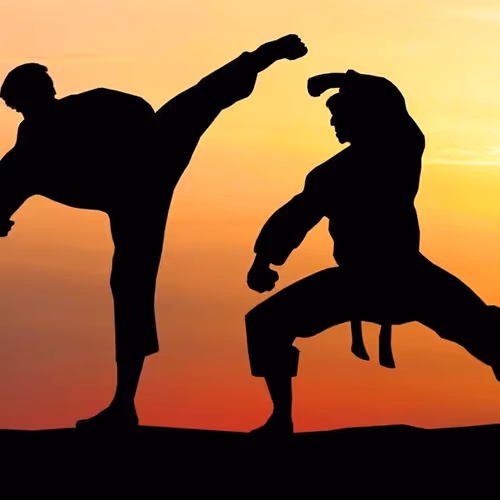 The Art of Karate
