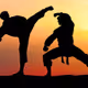 The Art of Karate