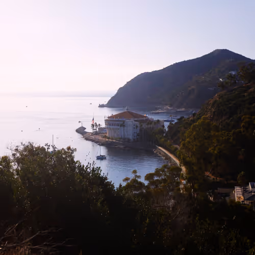 Catalina // Visual Diary