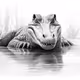 Croco