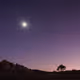 Starlight at Joshua Tree National Park