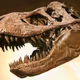Trex