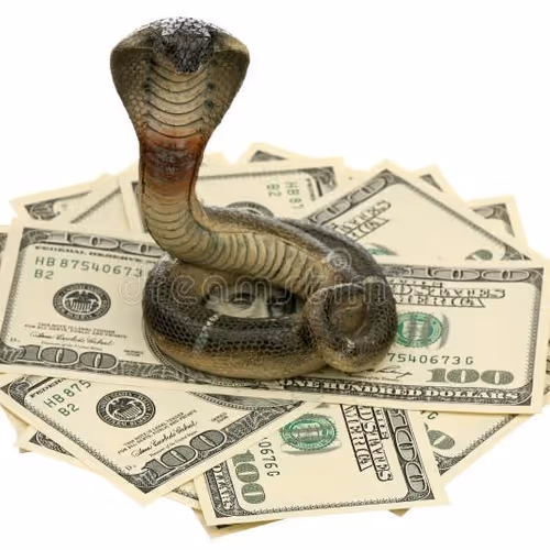 Money snake