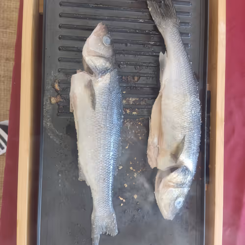 fish