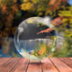 Tahquamenon Falls Zorb