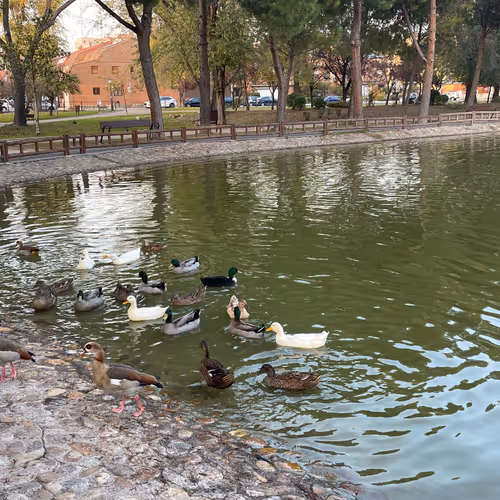 Walk in the Park III