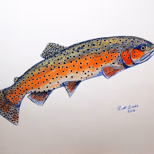 Trout