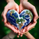 beautiful world in your hands