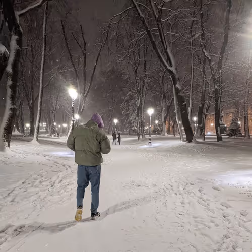 The Park and WInter