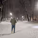 The Park and WInter