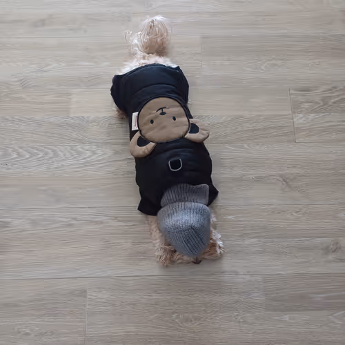 Emptypeanut